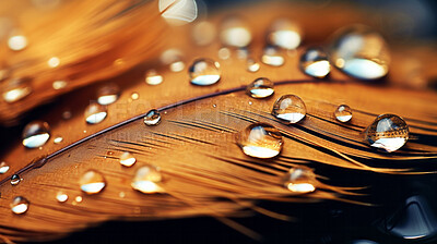 Closeup water droplets on feathers creative banner. Abstract art background