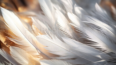 Closeup white feathers creative banner. Abstract art texture detail background