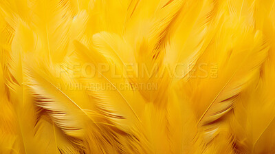 Closeup yellow feathers creative banner. Abstract art texture detail background