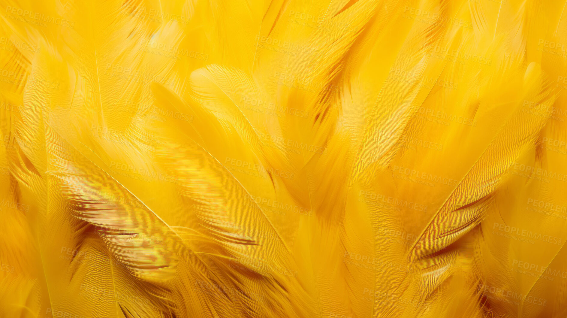 Buy stock photo Closeup yellow feathers creative banner. Abstract art texture detail background