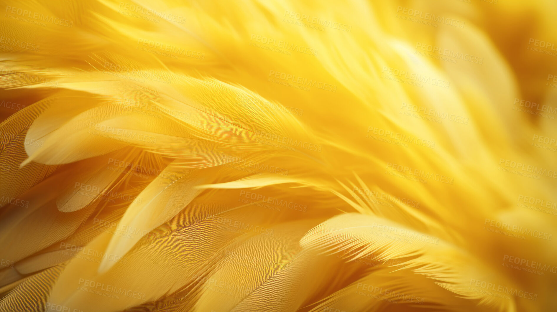 Buy stock photo Closeup yellow feathers creative banner. Abstract art texture detail background