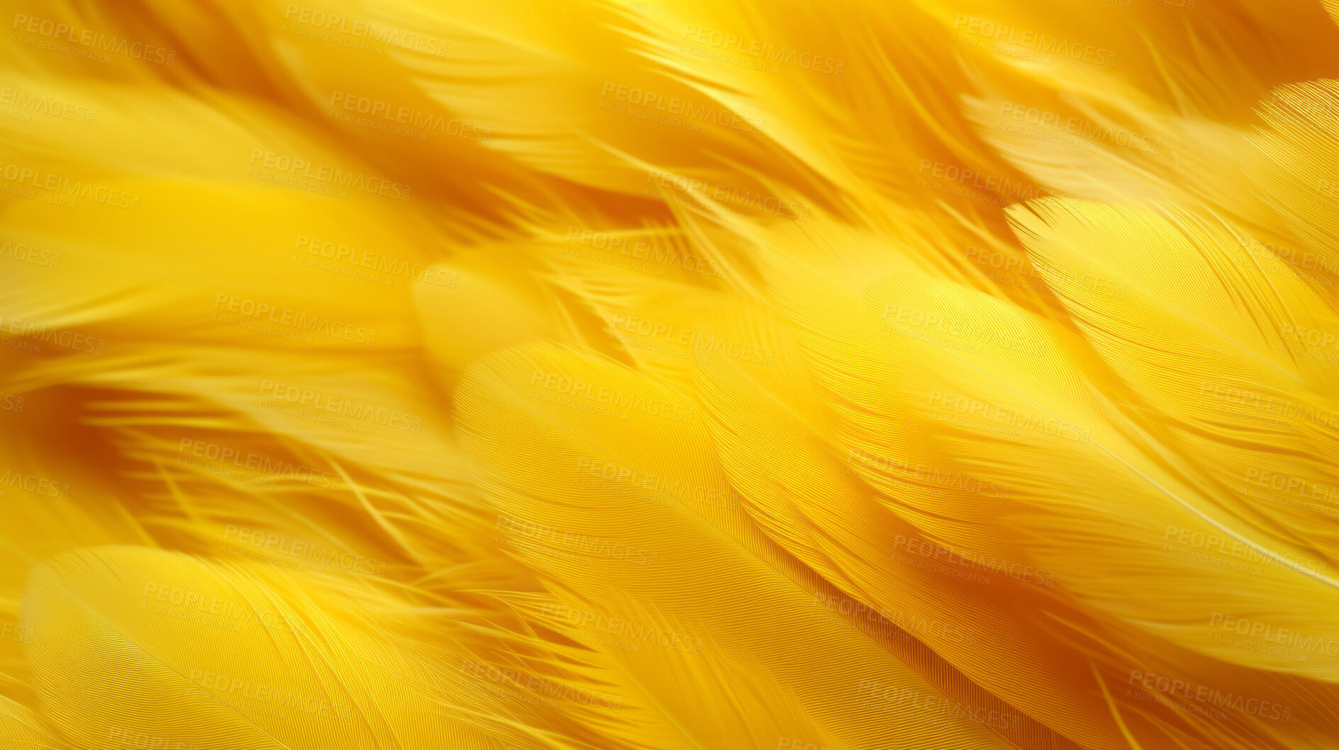 Buy stock photo Closeup yellow feathers creative banner. Abstract art texture detail background