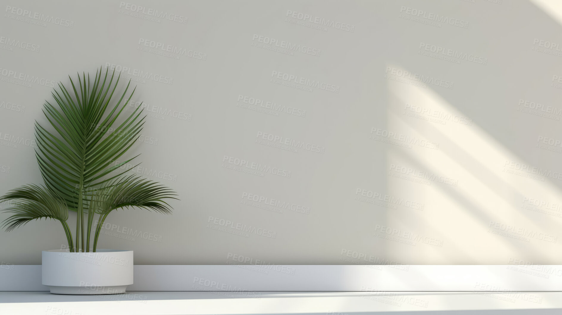 Buy stock photo Minimal abstract background for product presentation. Plant and shadows on wall