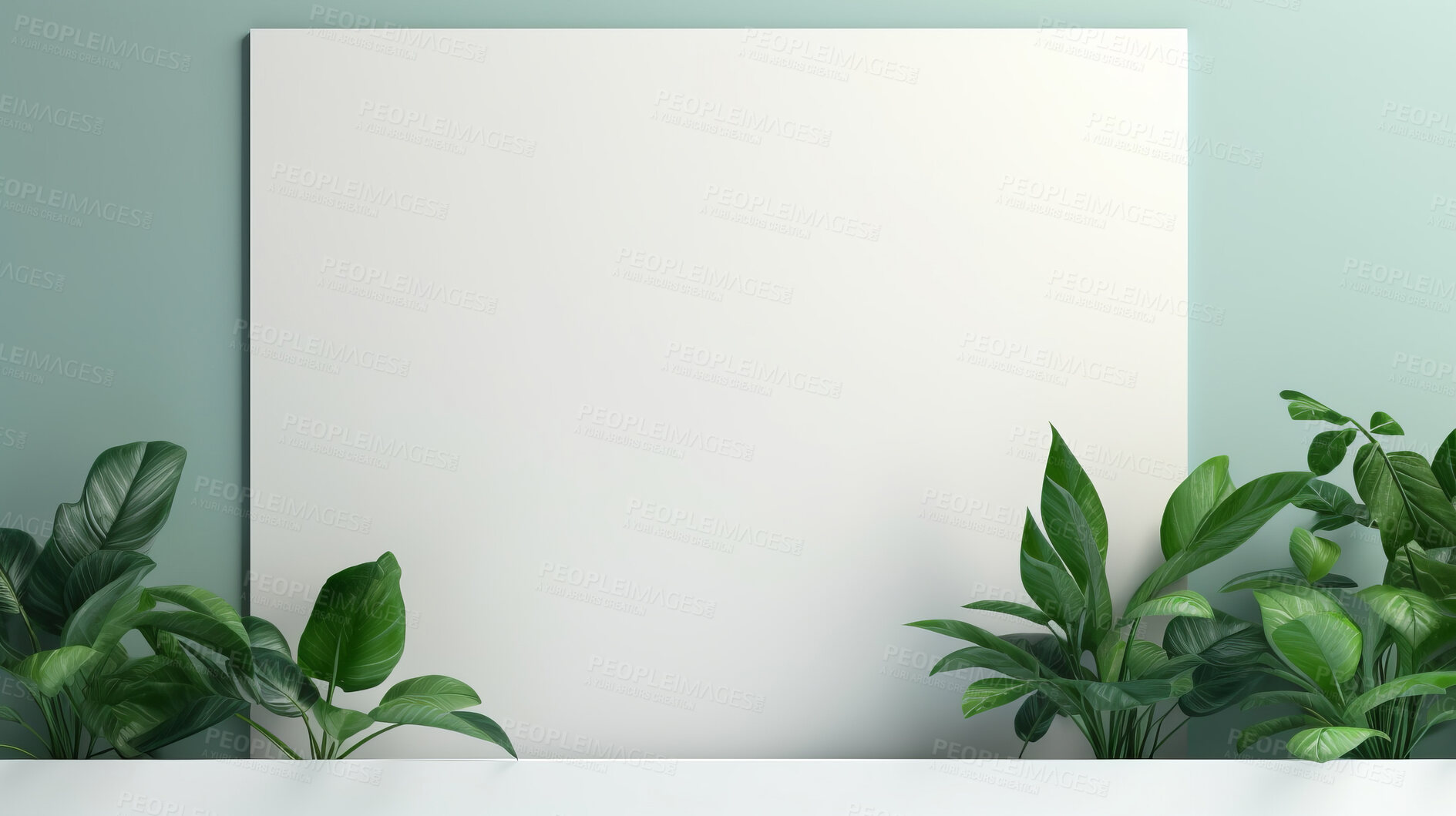 Buy stock photo White wall and plants with copyspace. Marketing advertising platform