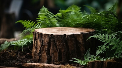 Buy stock photo Tree stump in green forest with copyspace. Marketing advertising platform