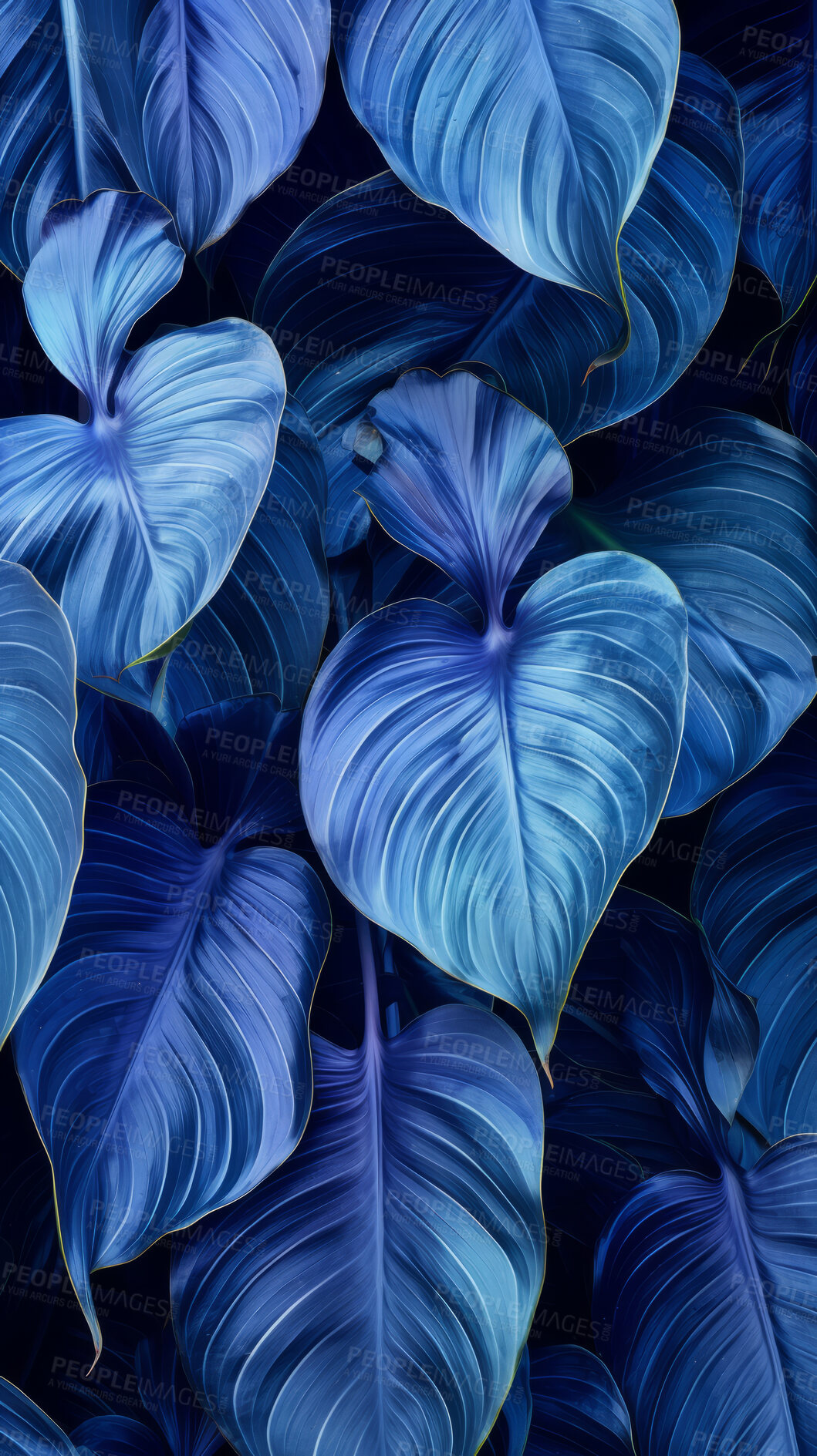 Buy stock photo Blue leaves wallpaper background. Product presentation invitation template.