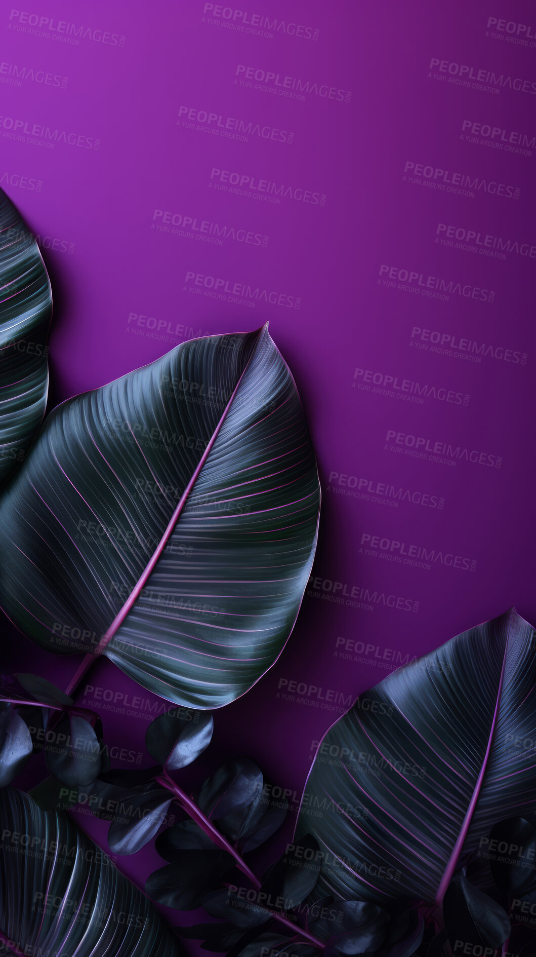 Buy stock photo Leaves background with purple copyspace. Product presentation invitation template.