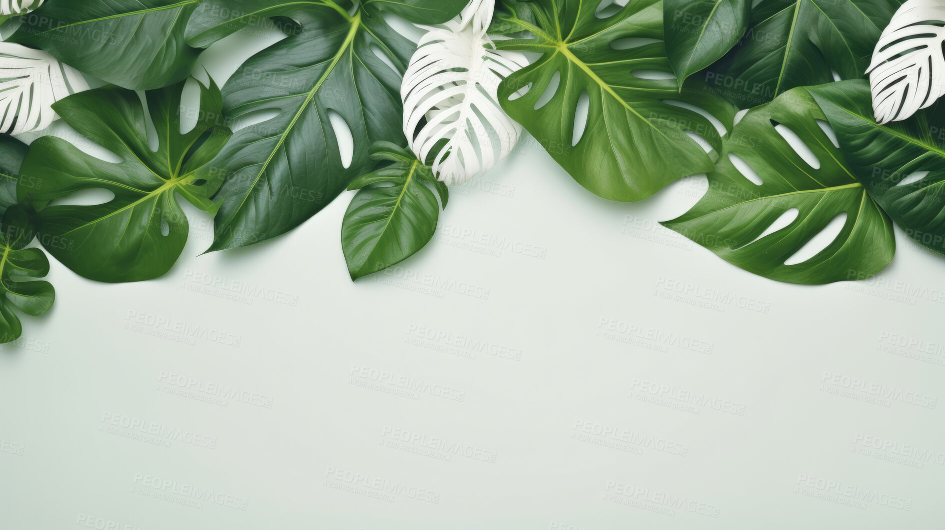 Buy stock photo Leaves background with white copyspace. Product presentation invitation template.