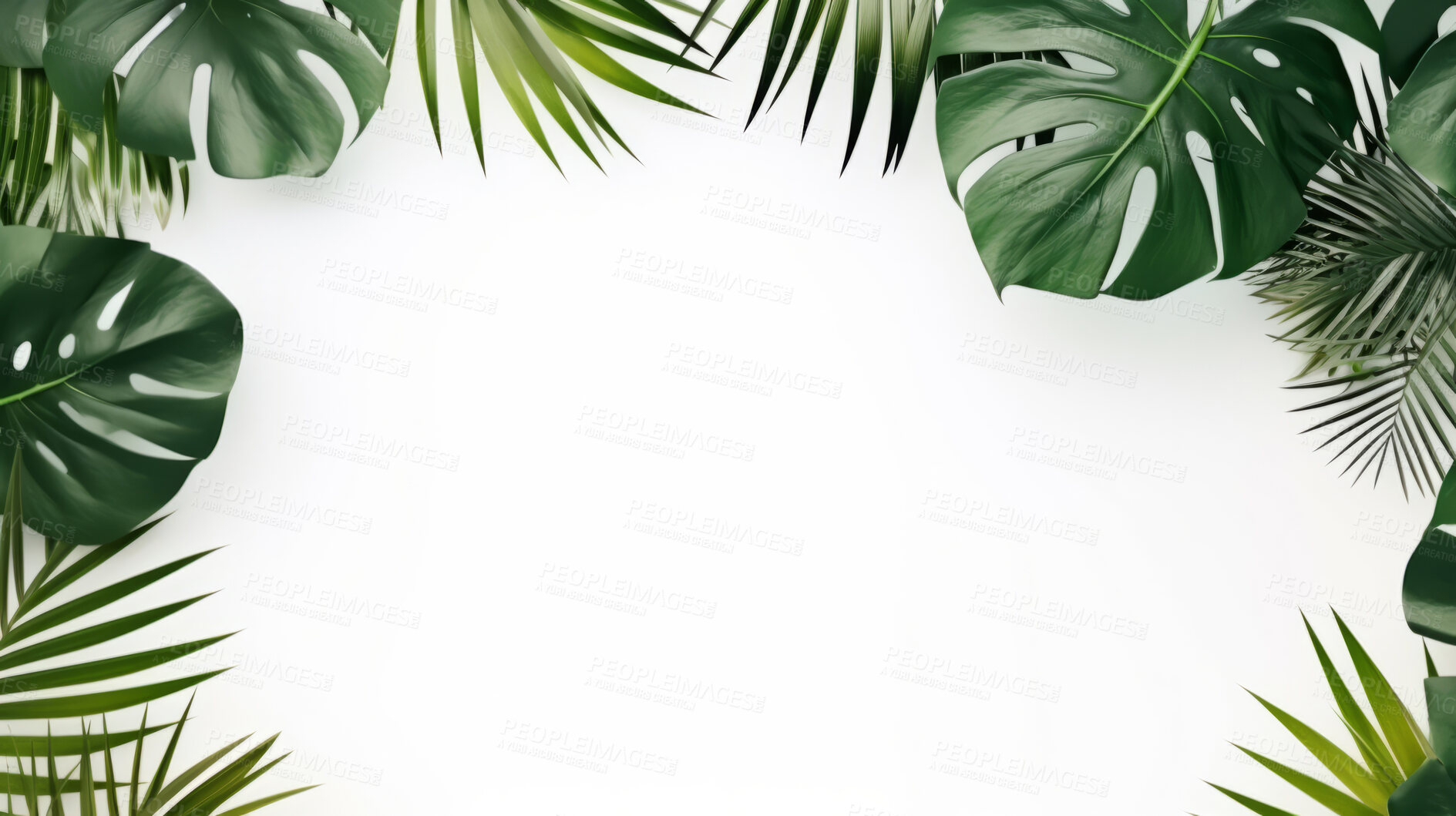 Buy stock photo Leaves background with white copyspace. Product presentation invitation template.