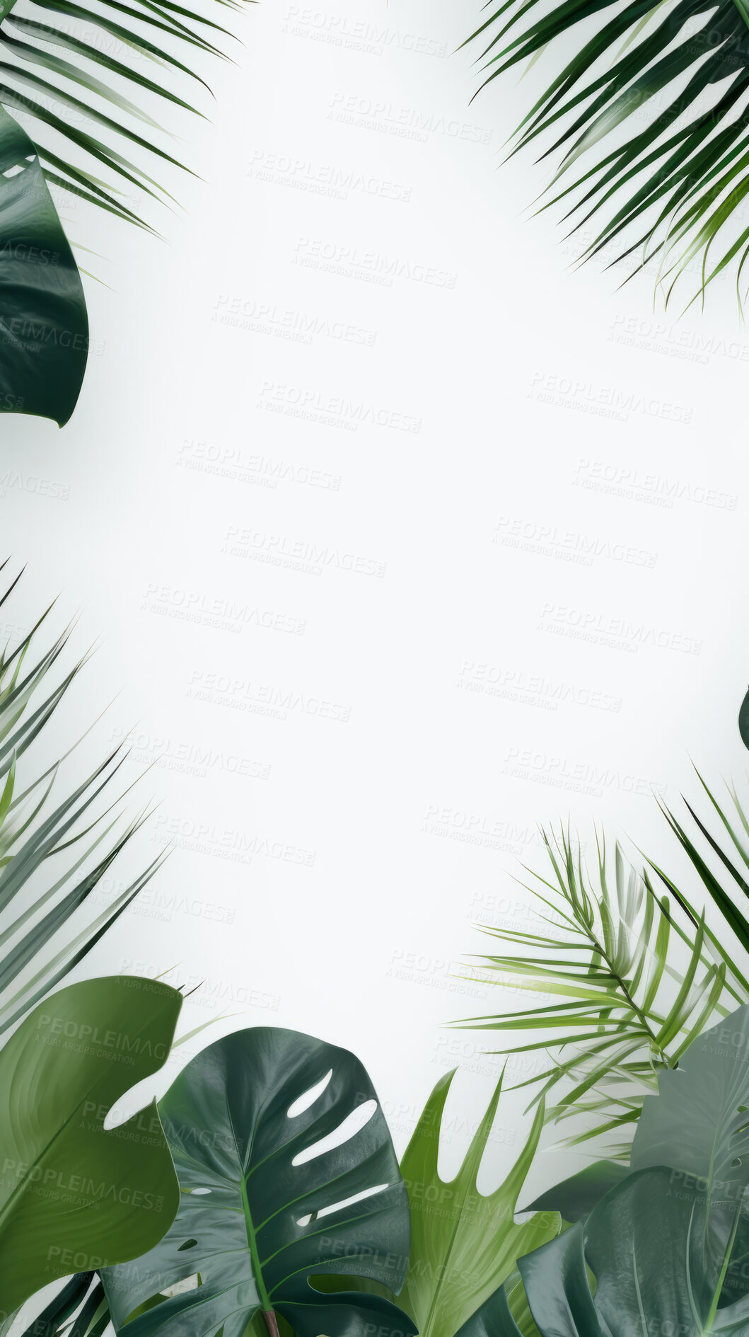 Buy stock photo Leaves background with white copyspace. Product presentation invitation template.