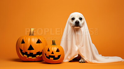 Buy stock photo Dog wearing a ghost costume, carved pumpkins for halloween celebration against orange wall