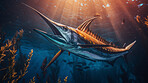 Underwater shot of fish. Beautiful nature underwater world concept.