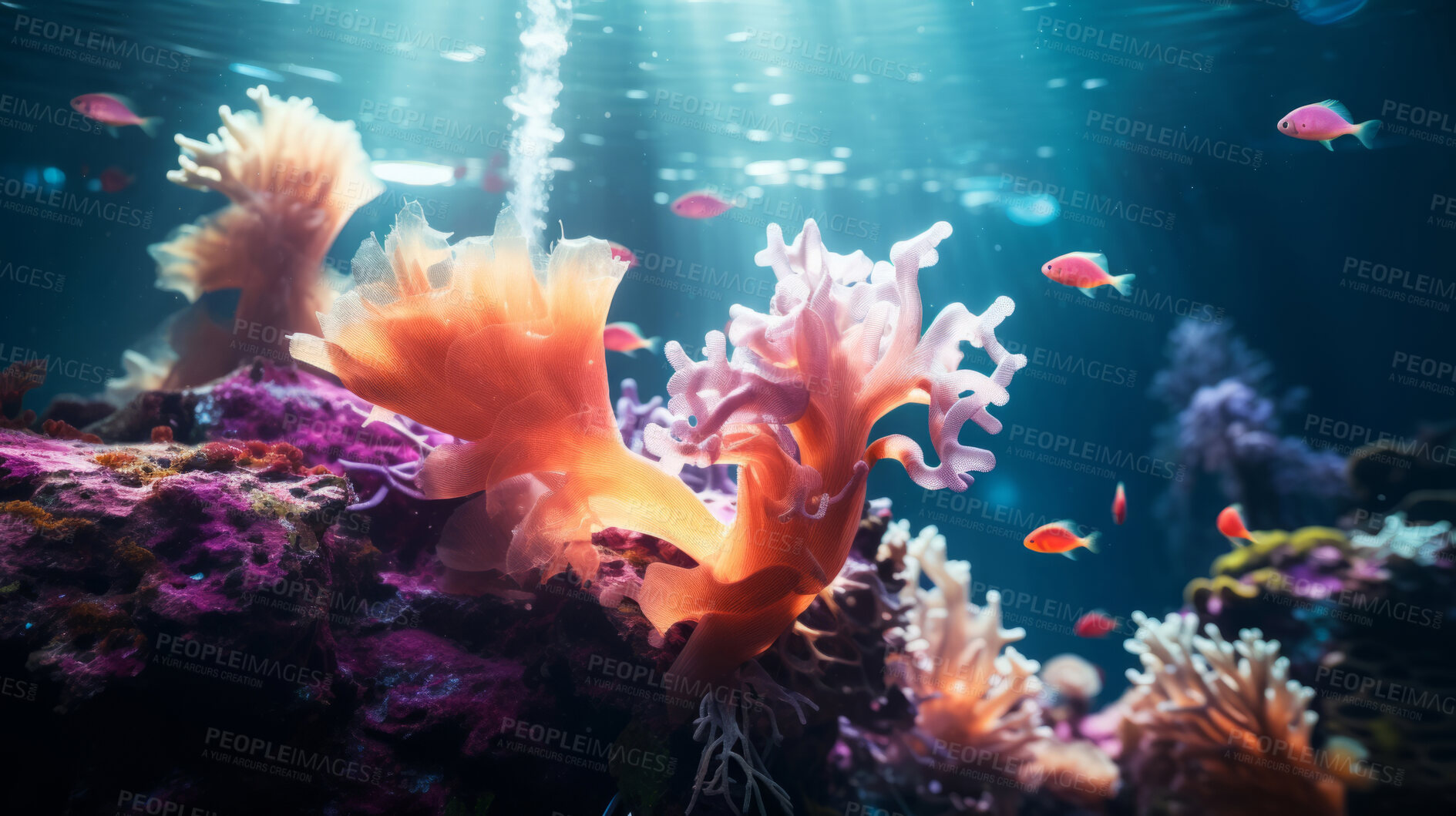 Buy stock photo Underwater scenery, various types of fish in distance. Illuminated coral reefs.