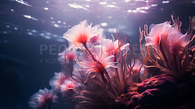 Buy stock photo Underwater scenery, various types of coral.