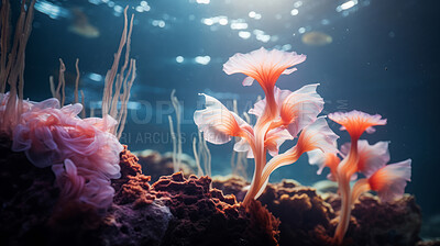 Buy stock photo Underwater scenery, various types of coral.