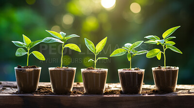 Buy stock photo Close-up of a young plants  in a row. Growing phases. Ecology Concept.