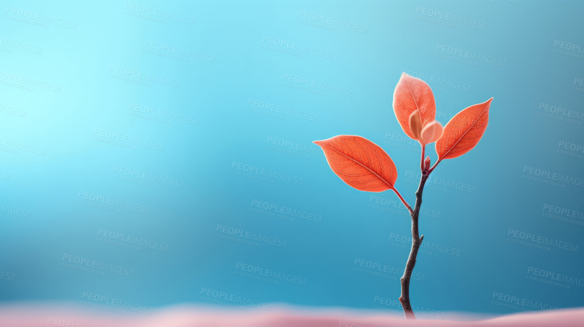 Buy stock photo Small plant growing against  blur background. Copy space. Eco concept.