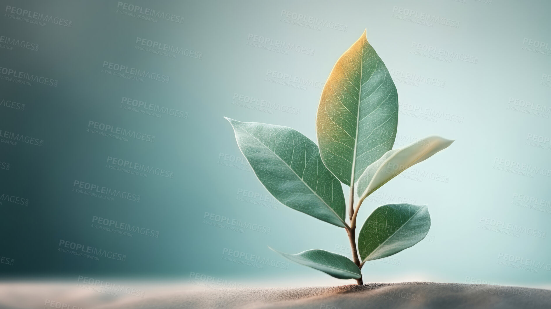 Buy stock photo Small plant growing against  blur background. Copy space. Eco concept.