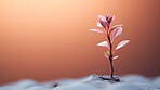 Small plant growing against orange blur background. Copy space. Eco concept.