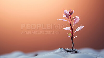 Small plant growing against orange blur background. Copy space. Eco concept.