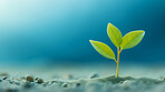 Small plant growing against blue blur background. Copy space. Eco concept.