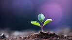 Small plant growing against blur background. Copy space. Eco concept.