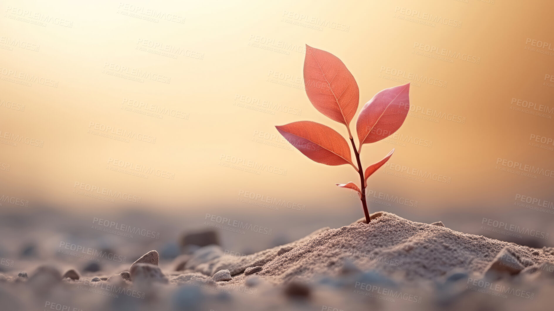 Buy stock photo Small plant growing against blur background. Copy space. Eco concept.