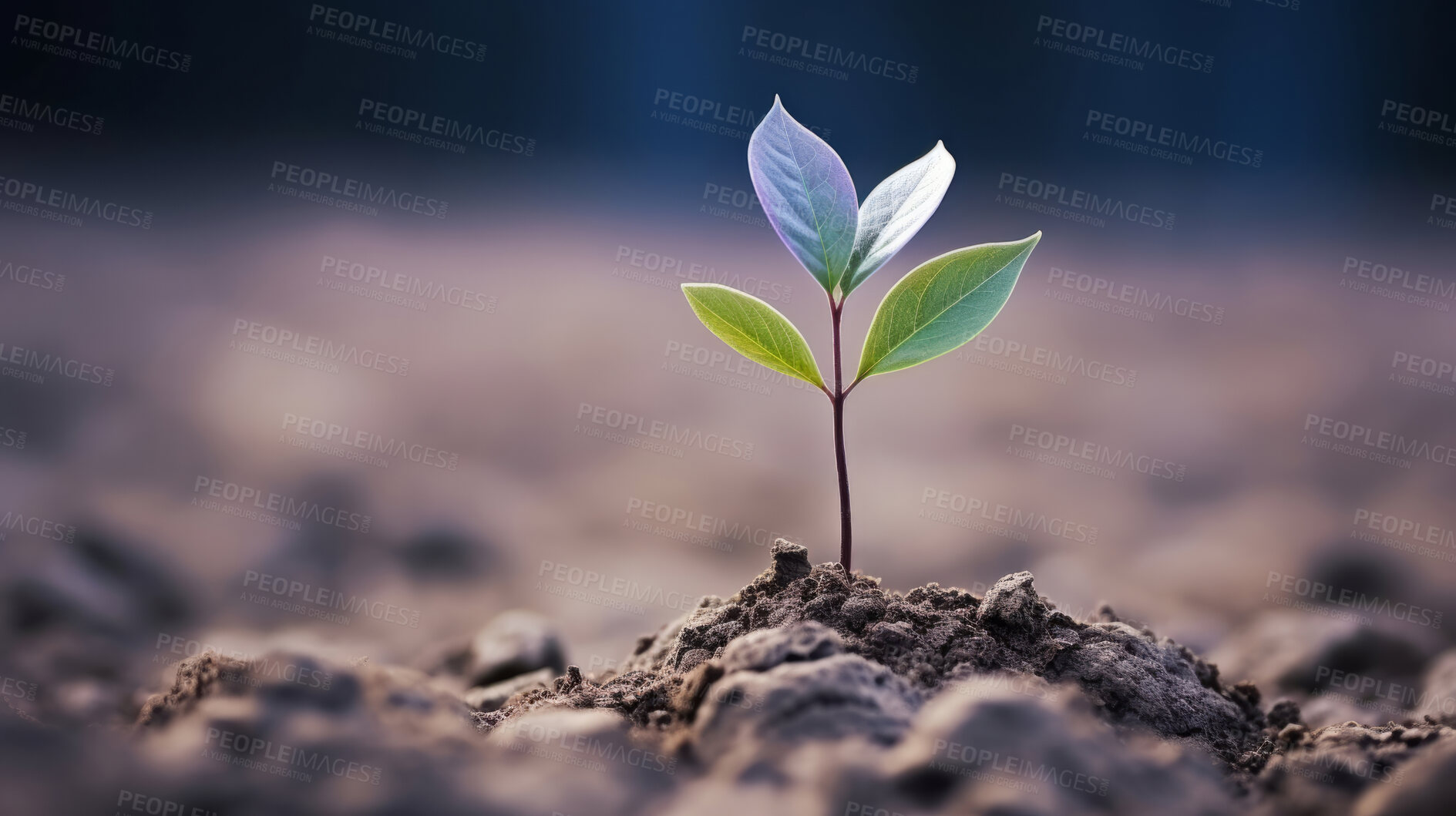Buy stock photo Small plant growing against blur background. Copy space. Eco concept.