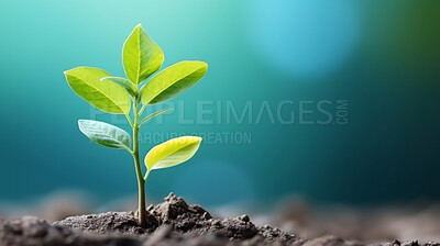 Small plant growing against blue blur background. Copy space. Eco concept.