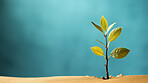 Small plant growing against blue blur background. Copy space. Eco concept.