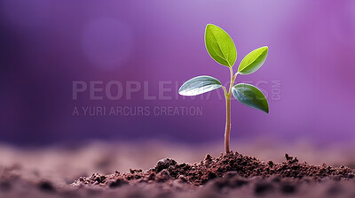 Small plant growing against purple blur background. Copy space. Eco concept.