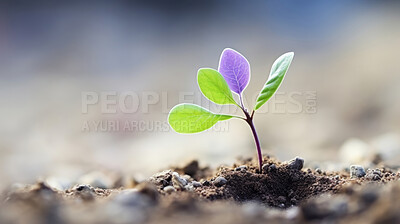 Small plant growing against blur background. Copy space. Eco concept.
