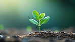 Small plant growing against blur background. Copy space. Eco concept.