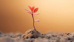 Small plant growing against blur background. Copy space. Eco concept.