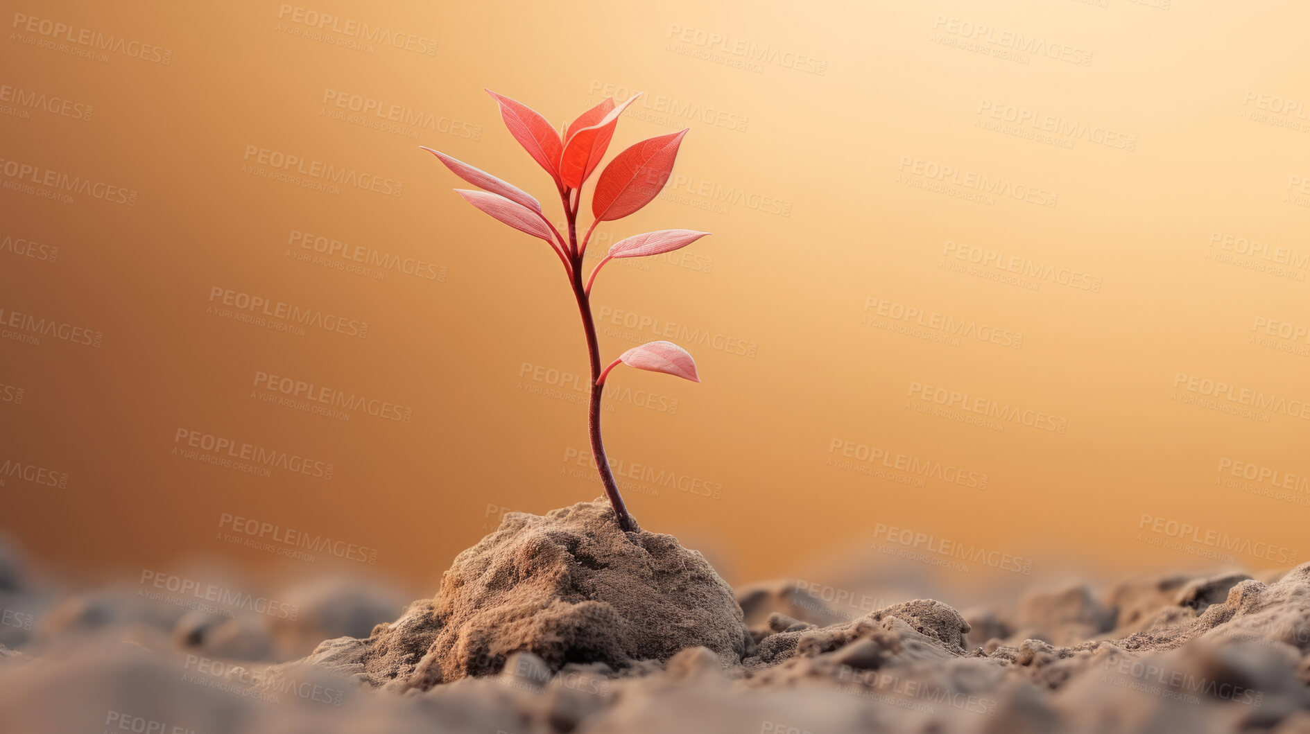 Buy stock photo Small plant growing against blur background. Copy space. Eco concept.