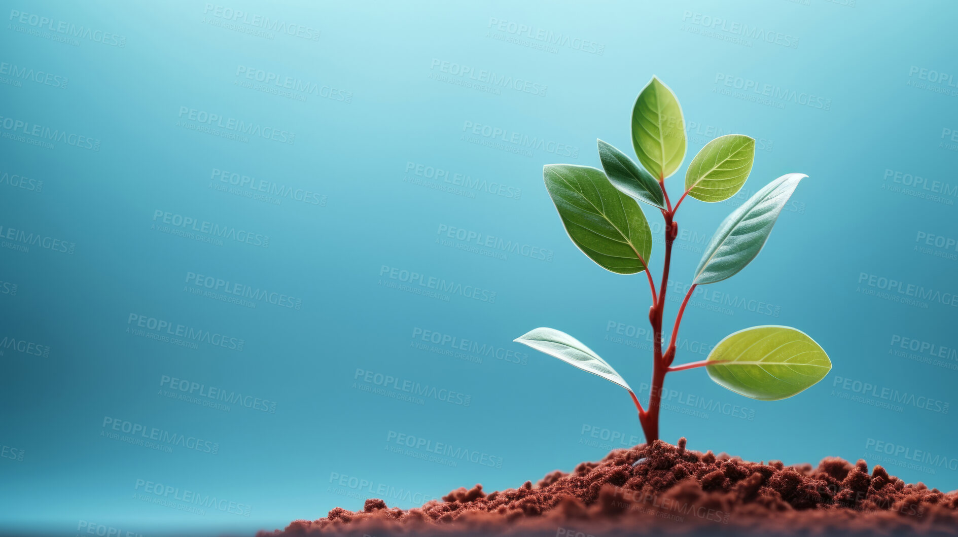 Buy stock photo Small plant growing against blur background. Copy space. Eco concept.