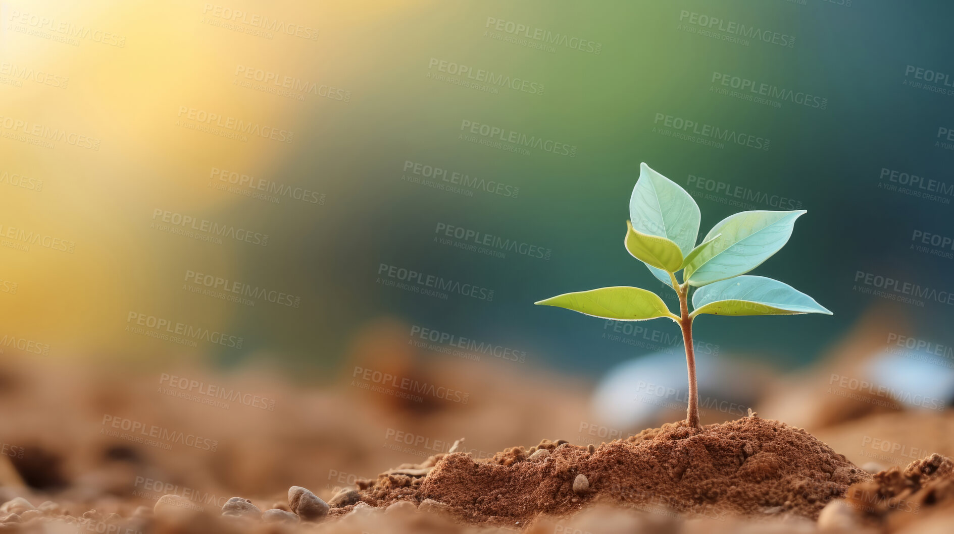 Buy stock photo Small plant growing against blur background. Copy space. Eco concept.