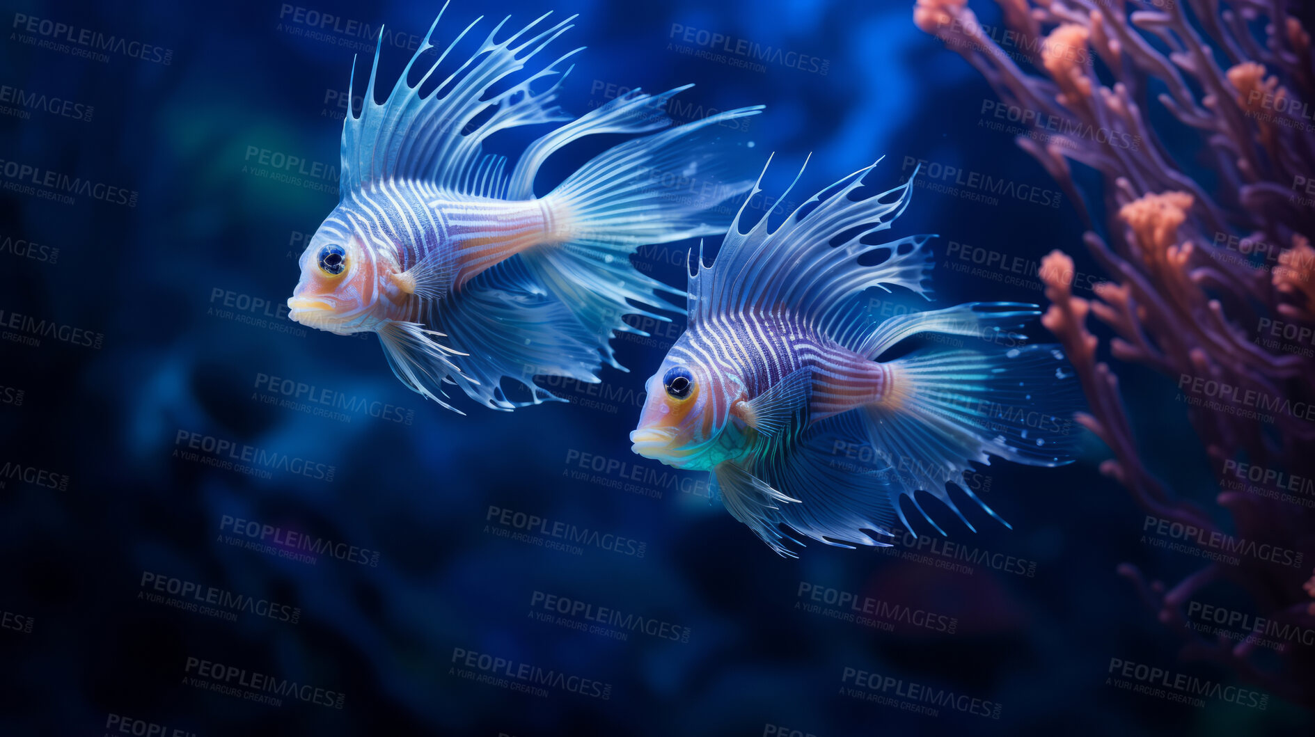 Buy stock photo Underwater close-up of glowing fish. Animal sea life at night.