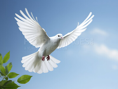 Peace illustrated by white dove. Olivea branch. Peace concept.