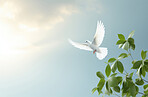 Peace illustrated by white dove. Green branch. Peace concept.