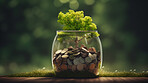 Growing savings. Interest earning and investment growth with green plant and coins