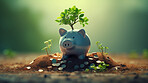 Growing savings. Interest earning and investment growth with green plant and coins