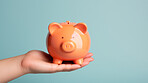 Hand holding a piggy bank. Savings, budget and money management concept