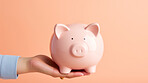 Hand holding a piggy bank. Savings, budget and money management concept