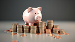 Piggy bank with coins. Personal savings, budget and money management concept