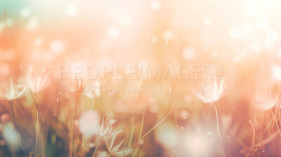 Buy stock photo Summer wild flowers in a meadow at sunset. Abstract summer nature background