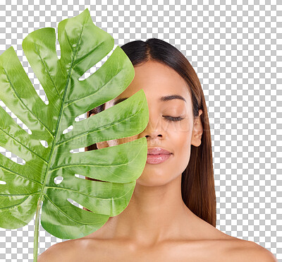 Woman, leaf and calm natural beauty for organic skincare cosmetics, self love or care against blue studio background. Relaxed female holding leafy green plant for healthy wellness or facial treatment
