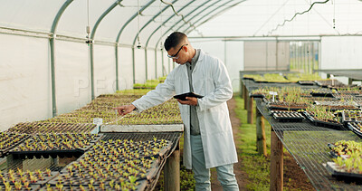 Buy stock photo Scientist, man and tablet for greenhouse plants, farming or agriculture inspection, quality assurance and check. Science expert or farmer with food security, vegetables or growth data on digital tech