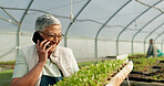 Woman, phone call and greenhouse plants, farming or agriculture communication, growth and agro business management. Senior farmer, supplier or seller talking on mobile with sprout tray or gardening