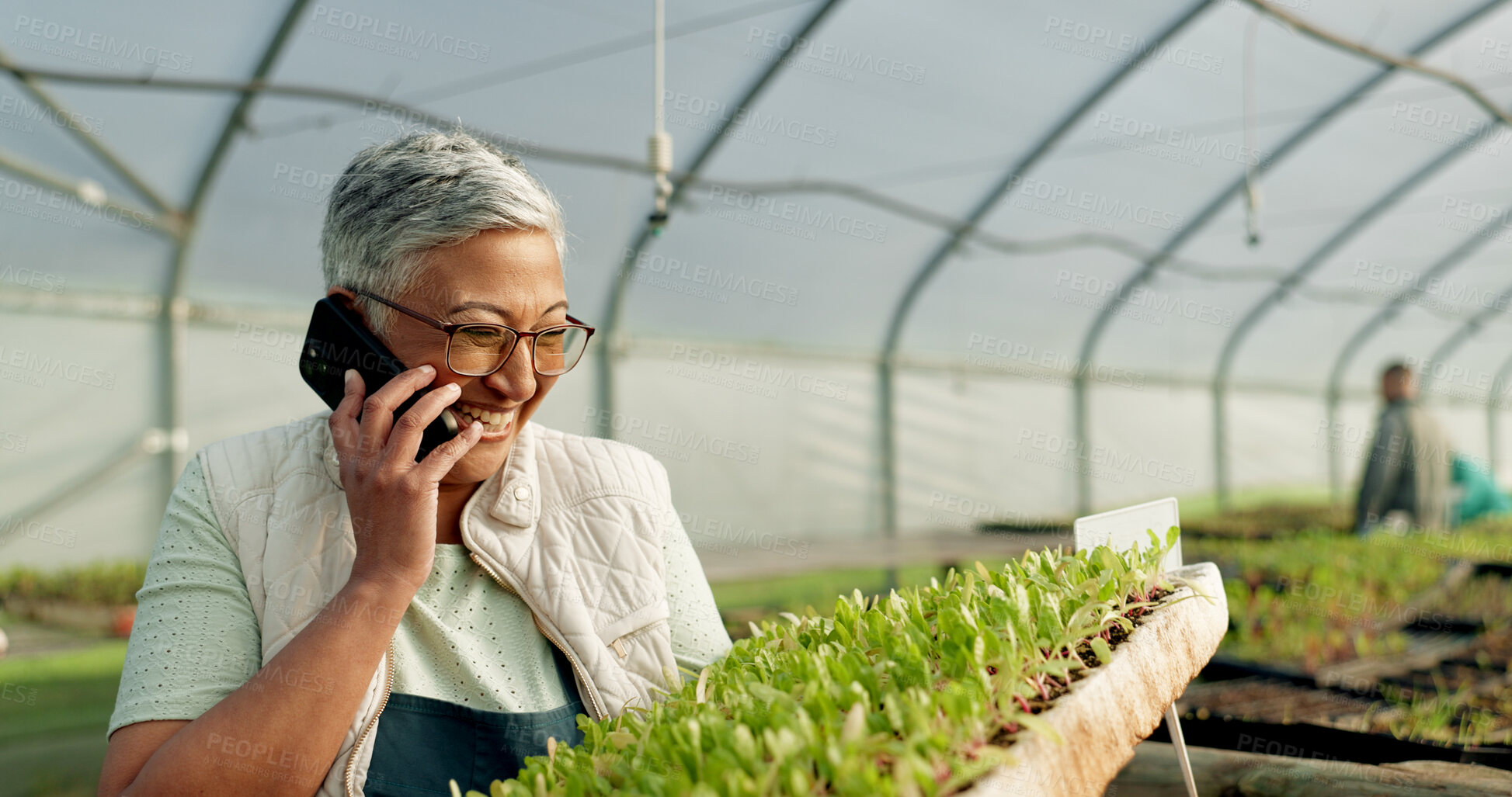 Buy stock photo Woman, phone call and greenhouse plants, farming or agriculture communication, growth and agro business management. Senior farmer, supplier or seller talking on mobile with sprout tray or gardening